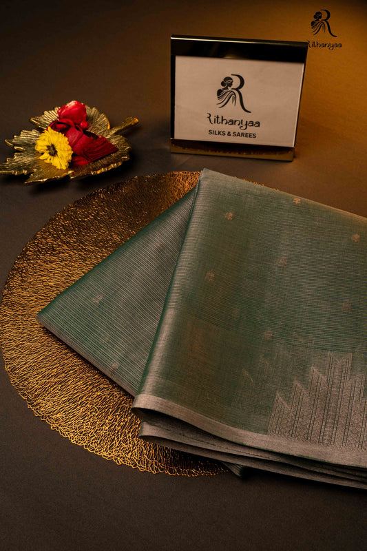 Raga Rudra - Soft Sico