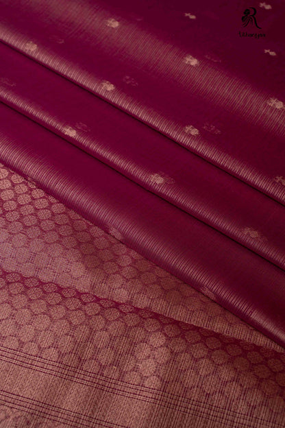 Raga Rudra - Soft Sico