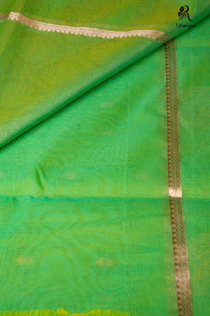 Swarnika Parrot Green - Soft Sico